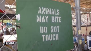 Putnam County considers stricter dog ordinance