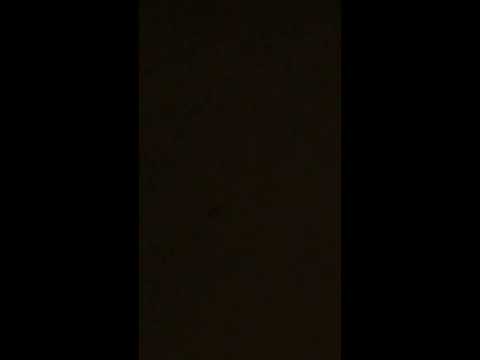 حصان يطير في السماء