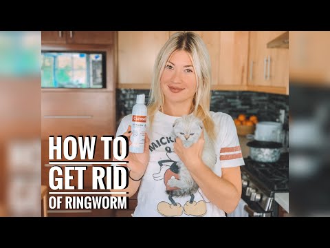 HOW TO GET RID OF RINGWORM ON CATS