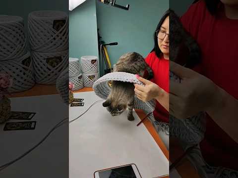 Video: Vandaalivastane kangas kasside diivanile: omadused, tüübid, tootjad