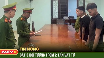 Bắt tạm giam nhóm đối tượng trộm vật tư tại công trường cao tốc Bắc - Nam | ANTV
