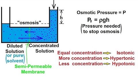 Chemistry - Solutions (42 of 53) Colligative Properties- Osmosis- Basics