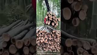 Factory Price Dongfeng 4x2 Grab Truck for Wood Logs, Bamboo Poles & Industrial Raw Material Handling