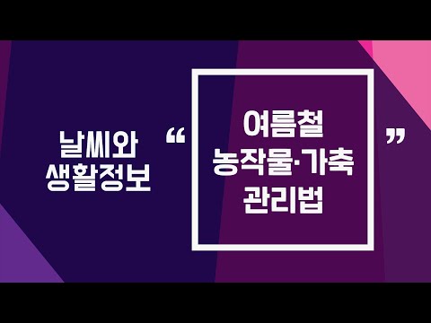 [날씨] 6월30일_여름철 농작물·가축 관리법