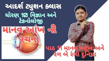 ધોરણ 10 વિજ્ઞાન અને ટેકનોલોજી પાઠ 11 માનવ આંખ અને રંગ બે રંગી દુનિયા.  માનવ આંખ ની રચના ભાગ 1