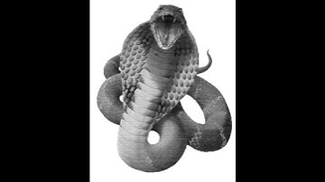 Jake "The Snake" Roberts - Trust Me [High Definition Remastered] 4K #JakeTheSnakeRoberts #trustme