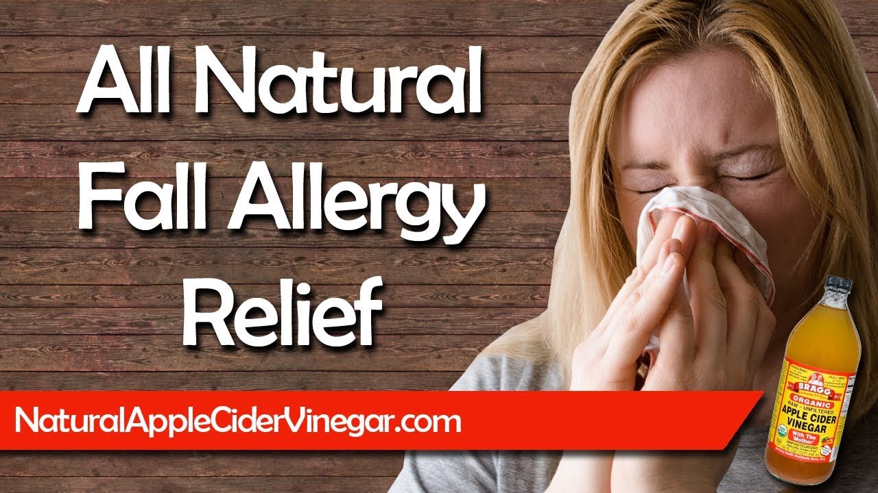 diya tailors Top 4 Best Practices for Natural Fall Allergy Relief