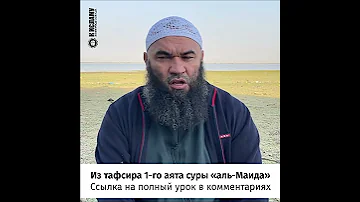 Каких животных дозволено употреблять в пищу? Ринат Абу Мухаммад #Shorts