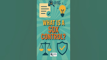 What is a Sox control?  #sox #audit #internalaudit #internalcontrols #risk #compliance #soxaudit