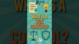 What is a Sox control?  #sox #audit #internalaudit #internalcontrols #risk #compliance #soxaudit