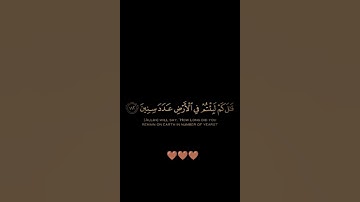 سورة المؤمنون / القارئ الشيخ أحمد النفيس / تلاوة خاشعة ومؤثرة تريح سمعك