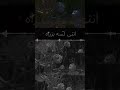 بس دي صخره انا عارف انها صخره تفتكري مش هعرف صخره لم اشوفها انا قضيت نص عمري انت غريب بس انا بحبك بس دي صخره انا عارف انها صخره تفتكري مش هعرف صخره لم اشوفها انا قضيت نص عمري انت غريب بس انا بحبك