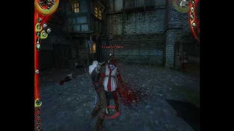 Witcher Combat