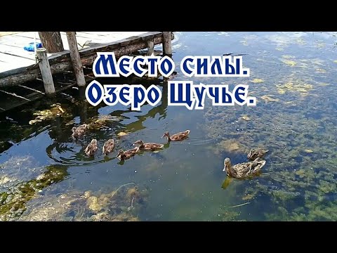Место силы. Озеро Щучье.