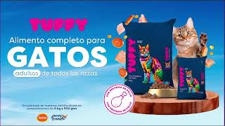 Donde está la noticia está Misael 