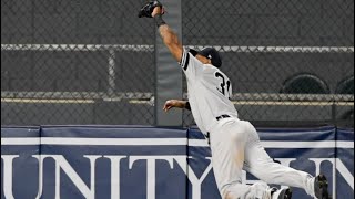 Aaron Hicks Diving Catch