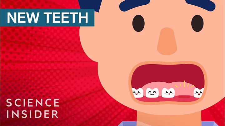 Why Humans Can't Regrow Teeth - DayDayNews