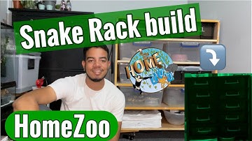 Ball Python Rack Build