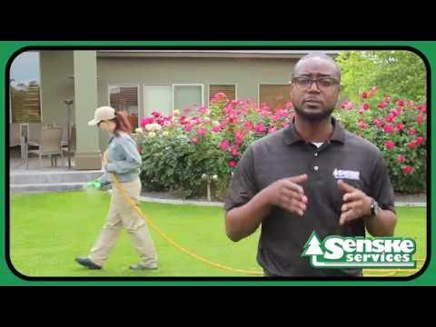 Senske Lawn Applications - YouTube