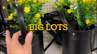 NEW FINDS AT BIG LOTS / SHOP WITH ME  #shop