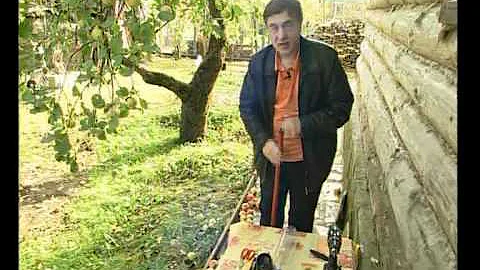 Палка-снималка для сбора яблок
