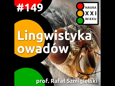 Wideo: Początek medalu Dni Aleksandrowa