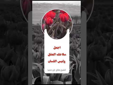 اجعل سلاحك العقل وليس اللسان الشيخ صالح بن حميد