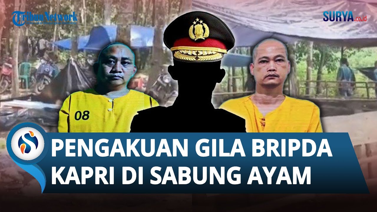 TAK DISANGKA! Ini Dia PENGAKUAN GILA Bripda Kapri, Oknum Polisi Tersangka Kasus Sabung Ayam Lampung
