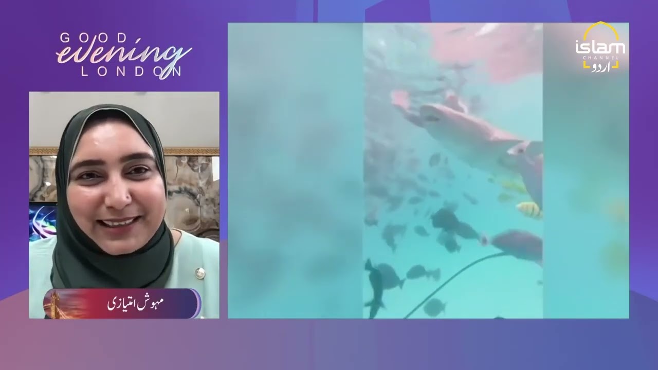 Pakistani Lady Swimming with Sharks- ISLAM CHANNEL URDU UK MEHWISH IMTIAZI INTERVIEW-
