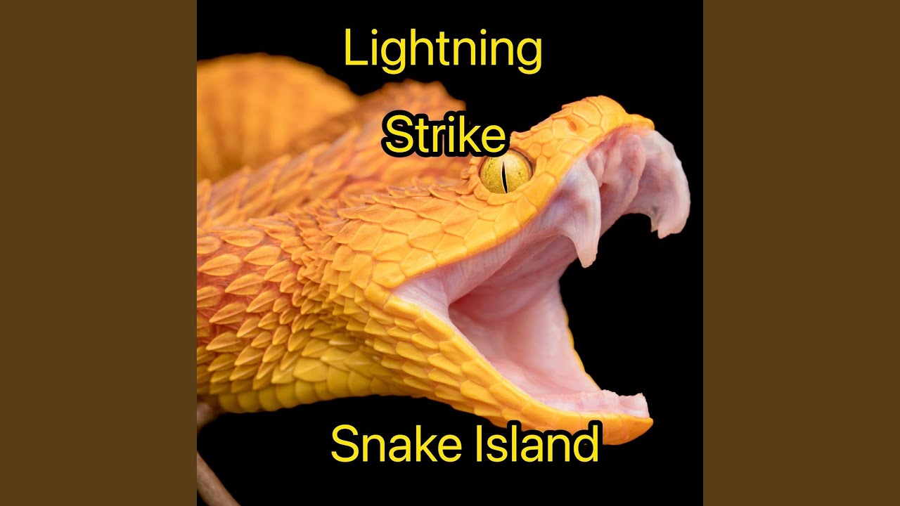 Three Skull Warning Snake Island