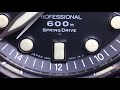 Seiko SBDB001 Spring Drive 600m Long Term Review