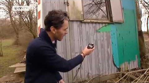 In the lead | Video of the day