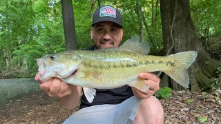 Lake Lanier Post Spawn Bank Fishing