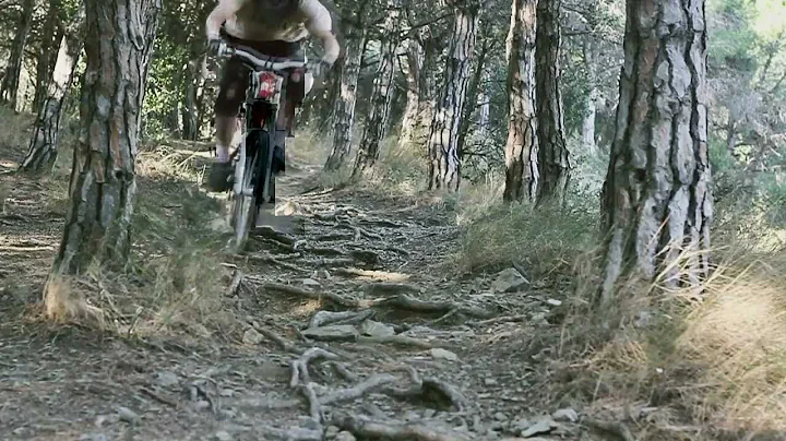 Albert Schaefer - Always the same trails I