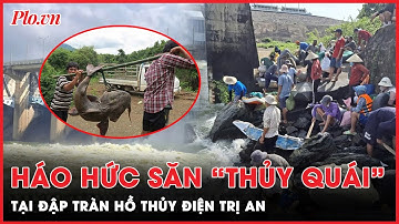 Mùa lộc trời: Người dân háo hức săn cá “khủng” dưới đập tràn Thủy điện Trị An | Tin nhanh
