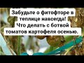 Ботва картофеля томатов осенью Защита растений от болезней Фитофтороз на томатах что делать.