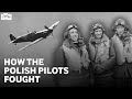 The Polish Pilots of the Battle of Britain