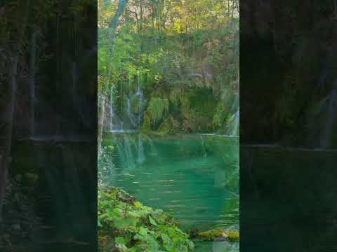 Discover Plitvice Lakes: