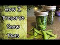 Preserving Snow Peas 2020