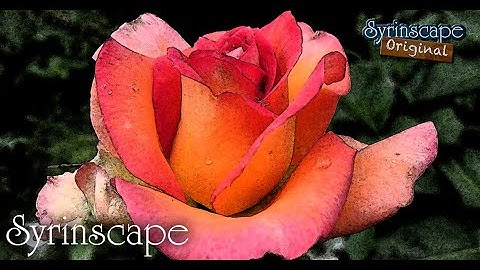 Syrinscape Originals - Romance SoundSet Teaser | Immersive RPG Audio