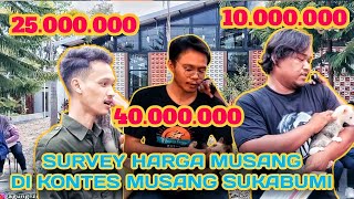 HARGA2 MUSANG DI KONTES MUSANG SUKABUMI ❗❗