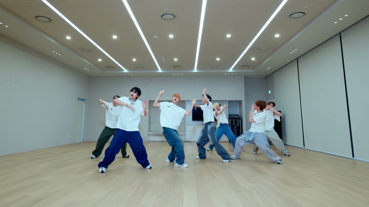 油彩　【practice dancing 】　一点もの　4F ALPHA DRIVE ONE (알파드라이브원) - OMG (Mirrored Dance Practice