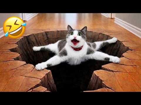 Try Not To Laugh 😹😆 Best Funny Dogs and Cats Videos 2026 🐕😺 Part 31