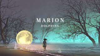 MARION - Dolphins | ChillStep by MARION music 11,736 views 1 year ago 3 minutes, 42 seconds