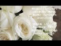 みちのくひとり旅　山本譲二【COVER】