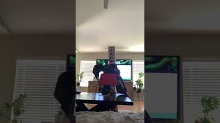 Animated motion, tracking zombie skeleton #trixie holidays 