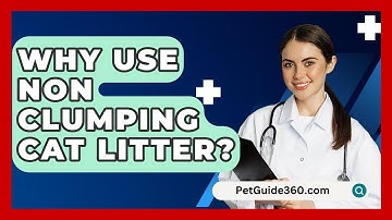 Why Use Non Clumping Cat Litter? - PetGuide360.com