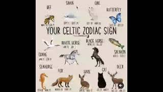 Your Celtic zodiac sign by Deearna Webb in magicalrecipesonline from Empaths and Old Souls🌷😎. #crane