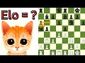 AI Chess Bot Mittens Fishy Behavior! ... and I Don't Mean Like Stockfish !!
