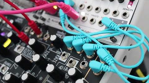 Bloom || Eurorack Performance